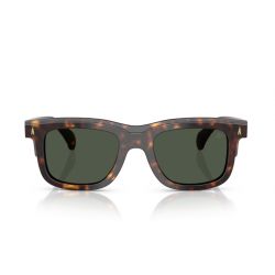 Moncler Claro ME6004 Brown Tortoise - Green Polar