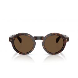 Moncler Aurone ME6012 Shiny Dark Havana - Solid Brown