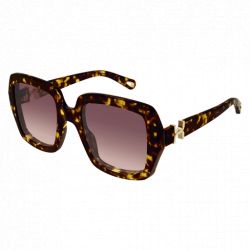 Chloé CH0301S Havana Havana Red