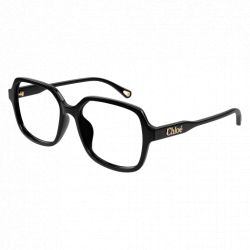 Chloé CH0272O Brown Transparent