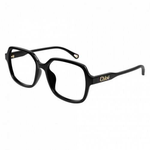 Chloé CH0277OA Black Black Transparent