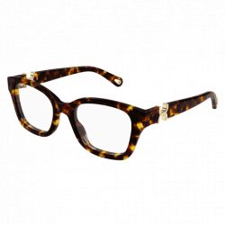 Chloé CH0272O Brown Transparent