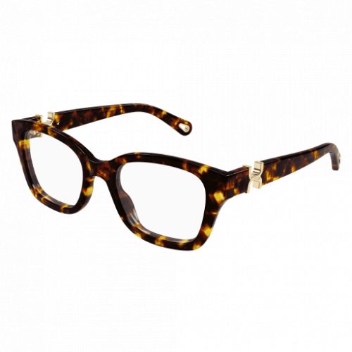 Chloé CH0272O Brown Transparent