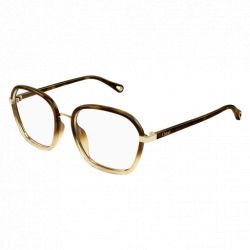 Chloé CH0034O Havana Transparent
