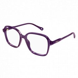 Chloé CH0272O Brown Transparent