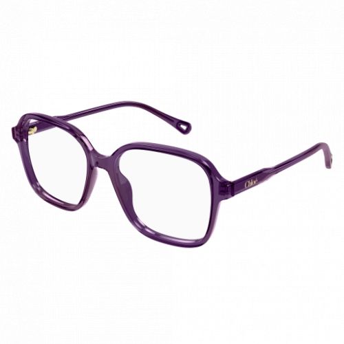 Chloé CH0272O Brown Transparent