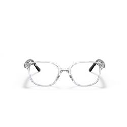 Ray-Ban Leonard JR Transparent