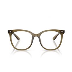 Ray-Ban RX4379VD Transparent Dark Green