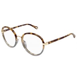 Chloé CH0308O Tortoise Transparent