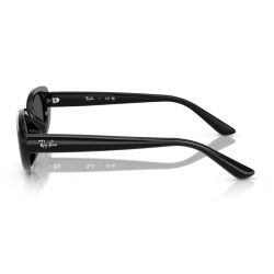 Ray-Ban RB4441D Black - Dark Grey