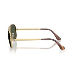 Ray-Ban RB3925 Aviator Max Arista - Green Cat 3