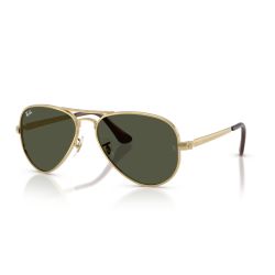 Ray-Ban RB3925 Aviator Max