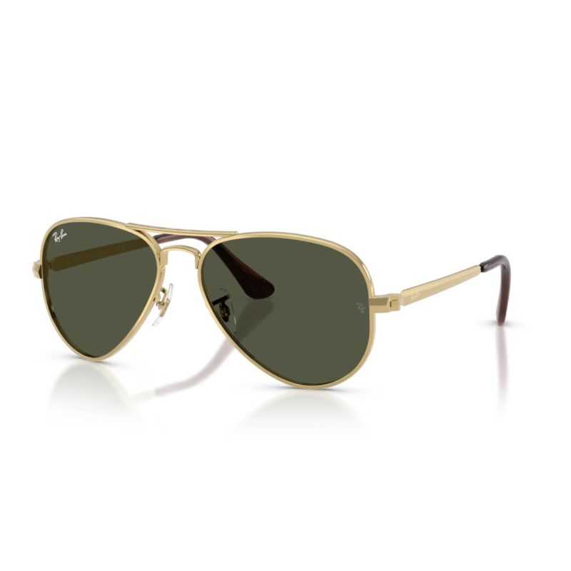 Ray-Ban RB3925 Aviator Max Arista - Green Cat 3