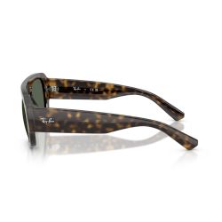 Ray-Ban RB2218 Havana - Green Lenses Cat 3