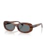 Ray-Ban RB2221 Stripped Havana - Blue Cat 2