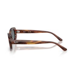 Ray-Ban RB2221 Transparent Beige - Gradient Brown Polarized Cat 3