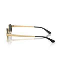 Ray-Ban RB3774D Arista - Dark Grey Lenses Cat 3