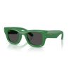 Ray-Ban Wayfarer PUFFER Green/Ultra Black - Limited Edition