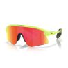 Oakley Stunt Devil Matte Uranium - Prizm Ruby Cat 3